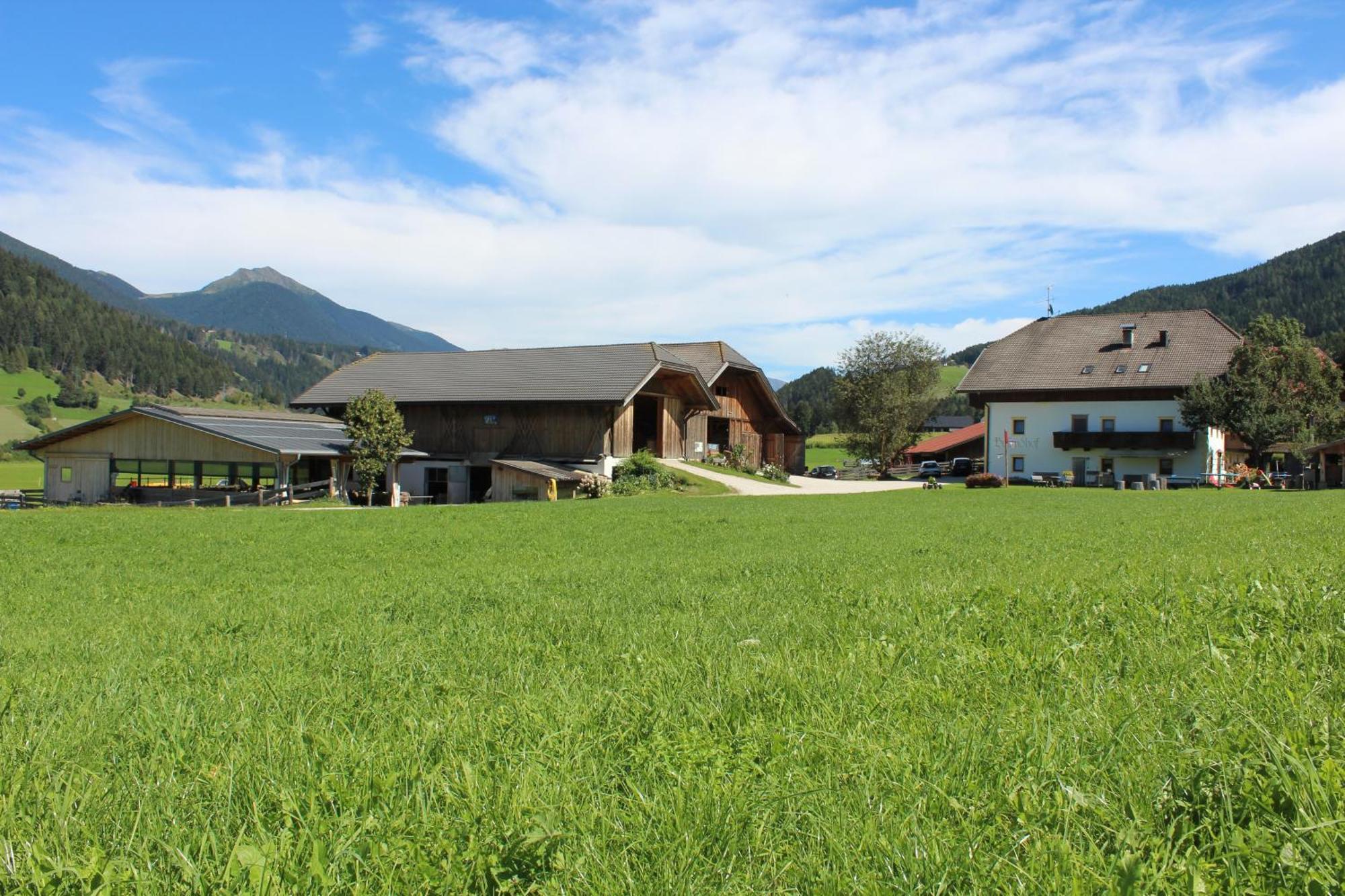 Ferienwohnungen Bulandhof Olang Exteriör bild